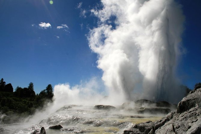 Rotorua Discovery Te Puia Tour - The geyser time reality check (and how to manage expectations)