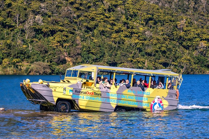 Rotorua Duck Boat Guided City and Lakes Tour - Key Things You’ll Notice on This Rotorua Duck Tour