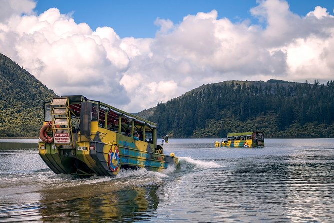 Rotorua Duck Boat Guided City and Lakes Tour - The 1886 Eruption and Treewalk Viewing Points
