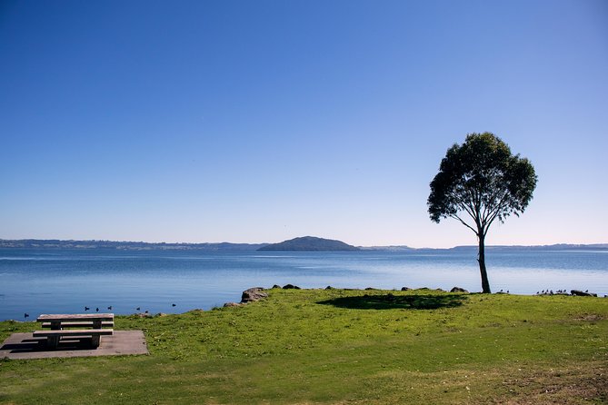 Rotorua Duck Boat Guided City and Lakes Tour - Price and Value: Is $55.23 Worth It?