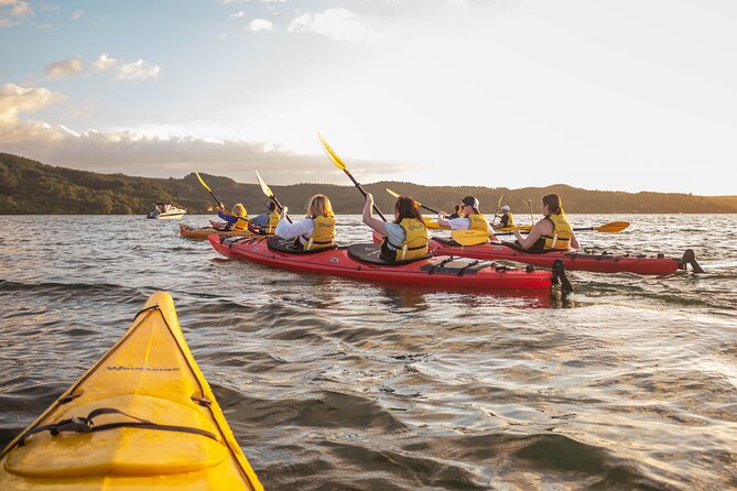Rotorua: Evening Starlight Gourmet Kayak Tour Glowworms - Key things that make this tour work