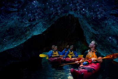 Evening Starlight Gourmet Kayak Tour Glowworms