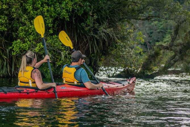 Rotorua: Evening Starlight Gourmet Kayak Tour Glowworms - Guides and group size: the difference between smooth and chaotic
