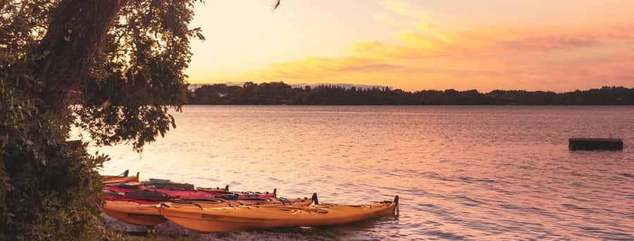 Rotorua: Evening Starlight Gourmet Kayak Tour with dinner - Key things to look forward to on this Rotorua starlight kayak
