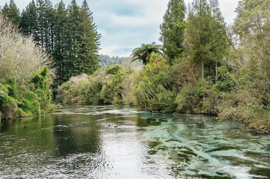 Rotorua: Explore The Lakes Half-Day Morning Tour - Key moments that make this tour worth it