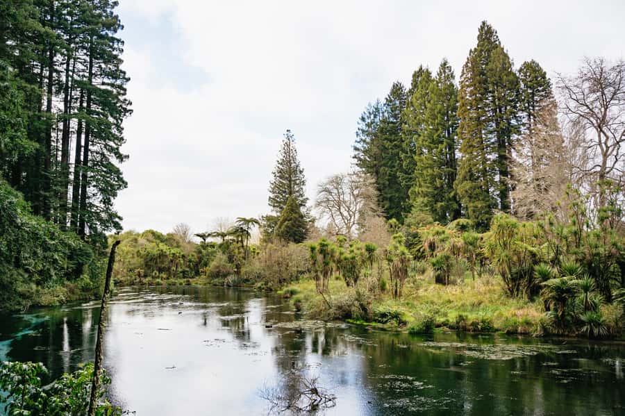 Rotorua: Explore The Lakes Half-Day Morning Tour - The Kaituna River section: Okere Falls and Tutea Falls views up close