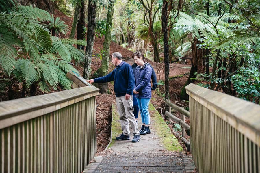 Rotorua: Explore The Lakes Half-Day Morning Tour - Hinemoa steps and the cave: when Rotorua turns geological