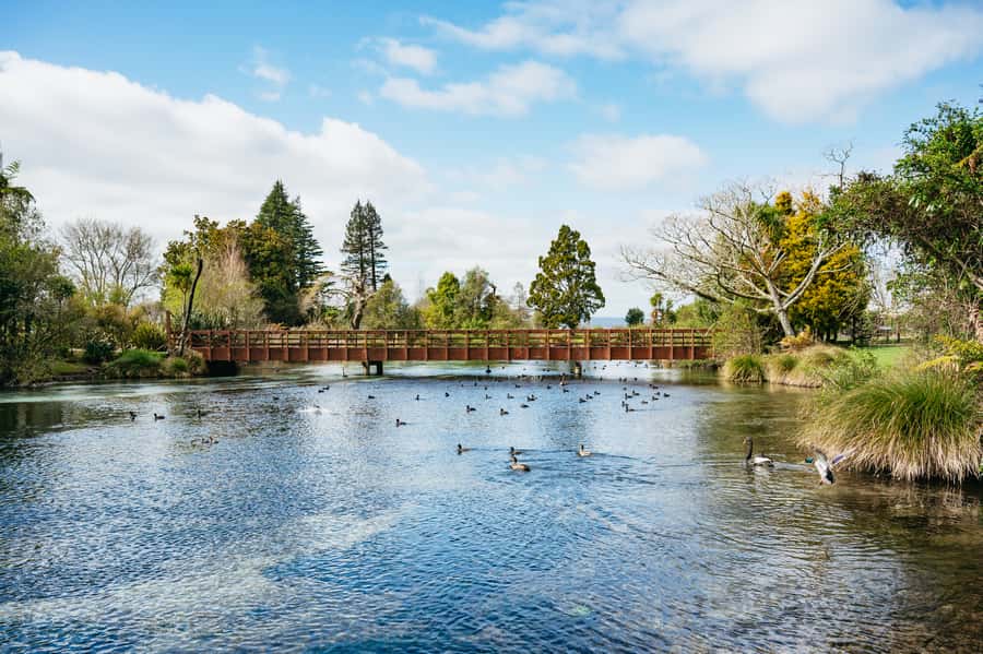 Rotorua: Explore The Lakes Half-Day Morning Tour - Tarawera area viewpoints: Blue Lake and Green Lake side by side