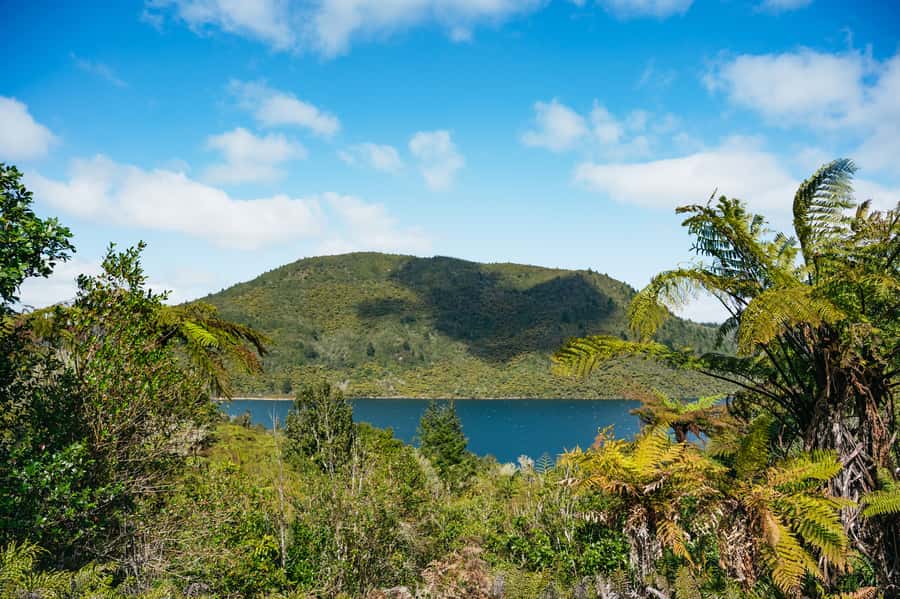 Rotorua: Explore The Lakes Half-Day Morning Tour - Who this small-group format fits best