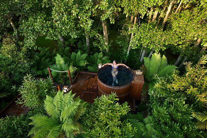 Rotorua Forest Hot Tub Soak at Secret Spot - The 45-Minute Cedar Soak in a Native-Tree Setting