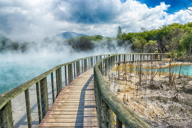 Rotorua Full Day Private Tour from Auckland - Whakarewarewa geothermal: mud pools and Pohutu Geyser on foot