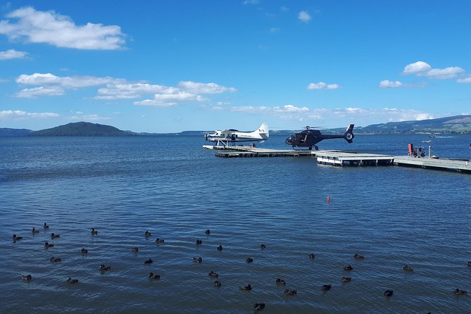 Rotorua Full Day Private Tour from Auckland - Price and value: what you get for $216.58 per person