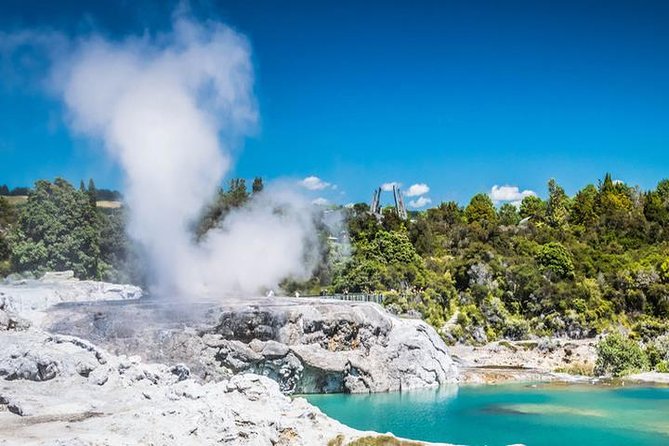 Rotorua Full Day Private Tour from Auckland - The road trip part matters more than you think