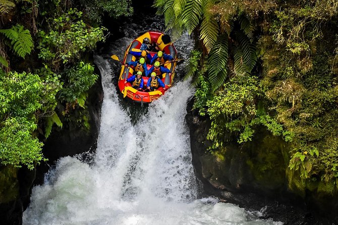 Rotorua Geothermal Wonderland Tour – Departs Tauranga - Price and value: is $166.31 worth it