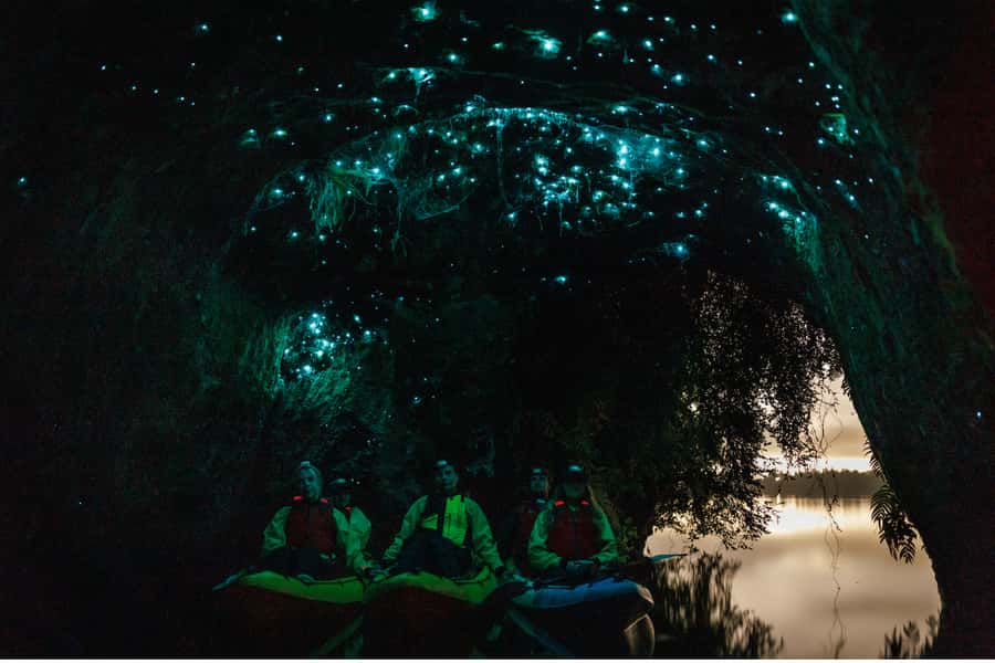 Rotorua: Glow Worm Adventure Kayak - From Rotorua’s Streets to a Night Kayak on the Lake