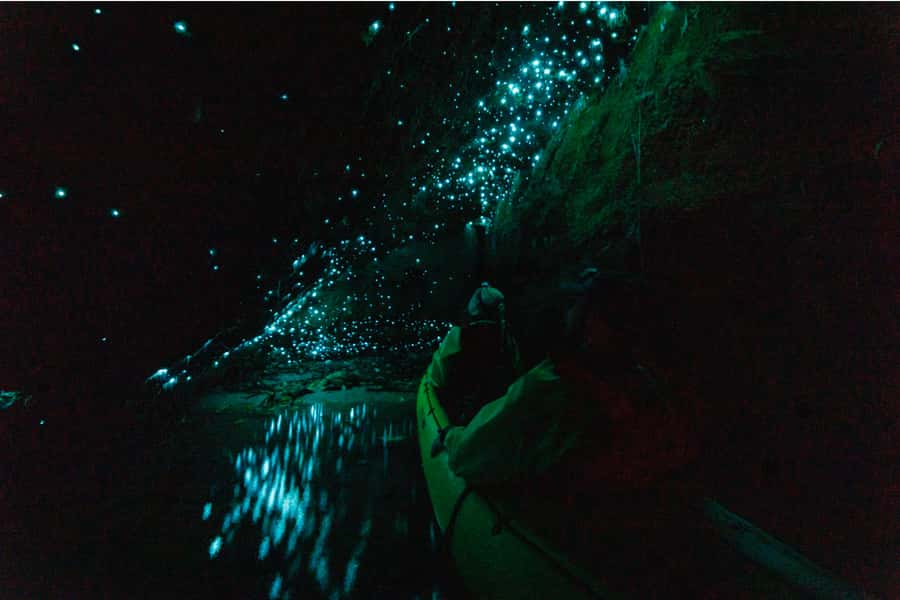 Rotorua: Glow Worm Adventure Kayak - Hidden Caverns After Dark, Glow Worm Walls, and Time to Drift