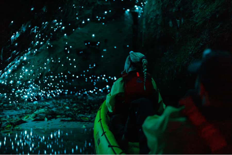Rotorua: Glow Worm Adventure Kayak - Price and Value: Why $176 Feels Reasonable for This Format