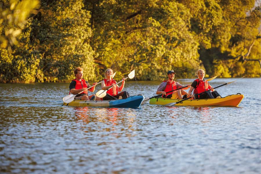 Rotorua: Glow Worm Adventure Kayak - Meet at Fenton Street, Then Get Set Up for 4 Hours Afloat