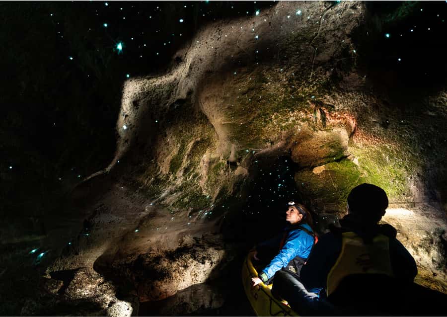 Rotorua: Glow Worm Kayak Tour - Quick Takes: Why This Rotorua Glow Worm Kayak Tour Works
