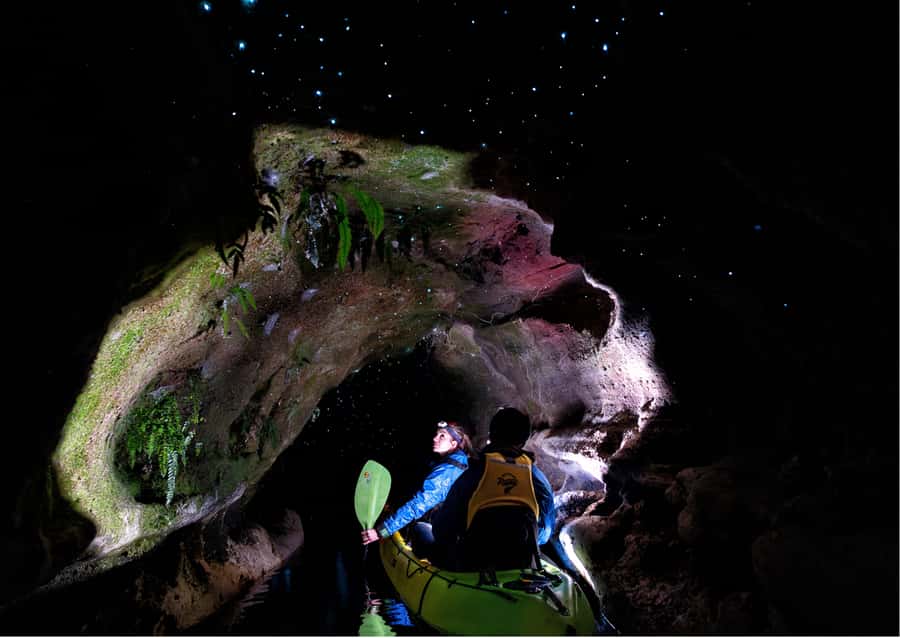 Rotorua: Glow Worm Kayak Tour - The 2.5 Hours on the Water: Twilight to Dark With Stars Overhead