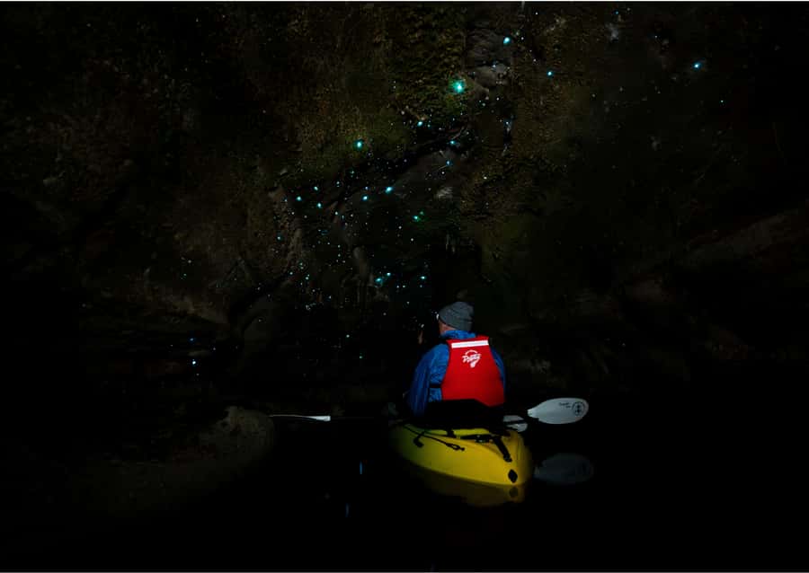 Rotorua: Glow Worm Kayak Tour - Who This Tour Is Best For (and Who Might Skip)