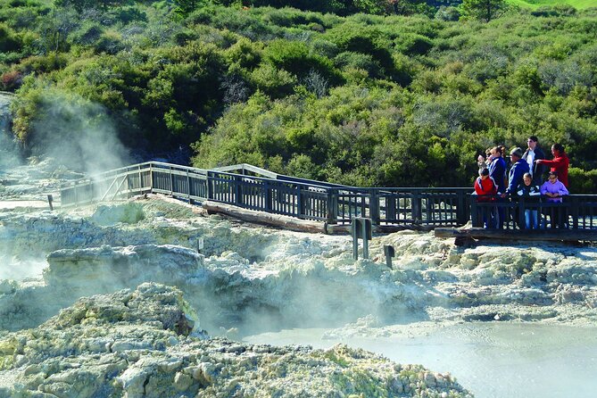 ROTORUA - Hell's Gate Geothermal Park & Mud Spa Day Trip - Cruise-Ship Friendly Logistics That Make or Break the Day