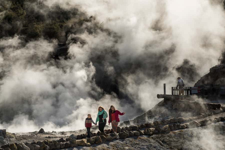 Rotorua: Hell's Gate Geothermal Walk - Quick Hits Before You Go
