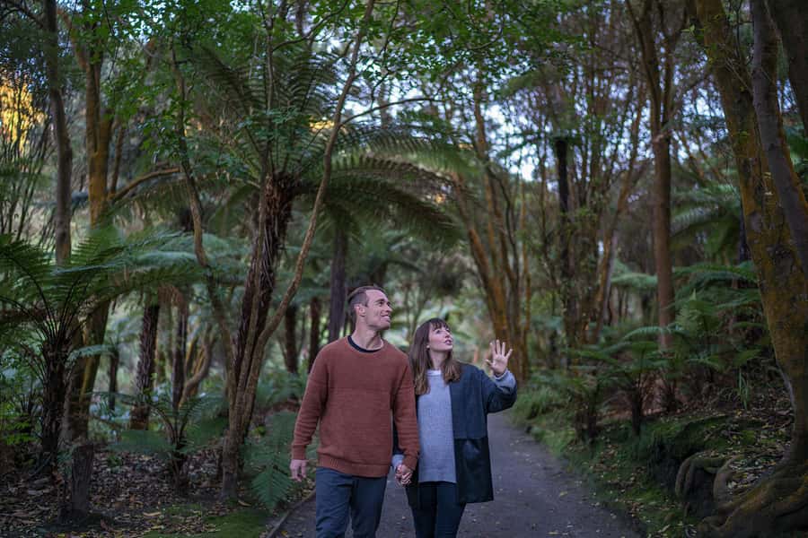 Rotorua: Hell's Gate Geothermal Walk - Your Two Options: Self-Guided Map vs Guided Walk (10:30 and 2:30)