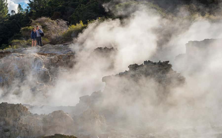 Rotorua: Hell's Gate Outdoor Mud Spa & Guided Walk - Price and value: is $68 for 3 hours worth it?