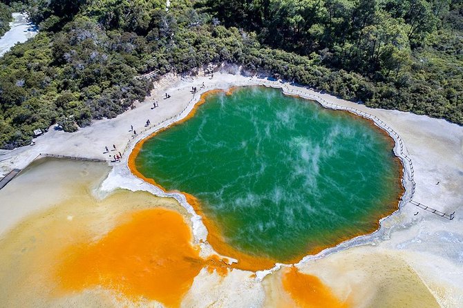 Rotorua Highlights inc. Waiotapu & Te Puia Day Tour from Auckland - A 6:30 am start that makes sense for Wai-O-Tapu