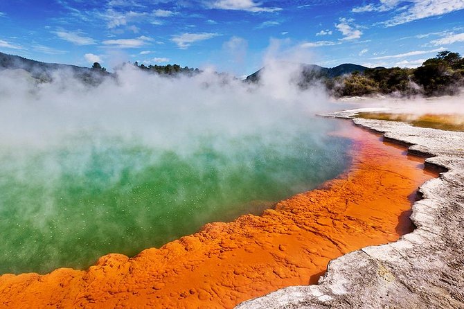 Rotorua Highlights inc. Waiotapu & Te Puia Day Tour from Auckland - Price and value: what $247.61 buys you