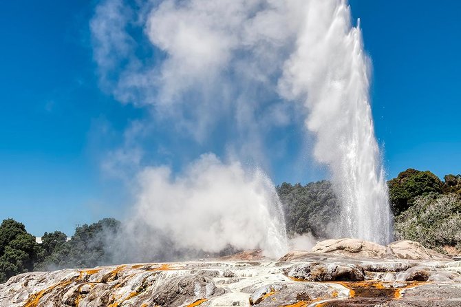Rotorua Highlights Tour from Auckland with Optional Extras - Key points that make this tour work