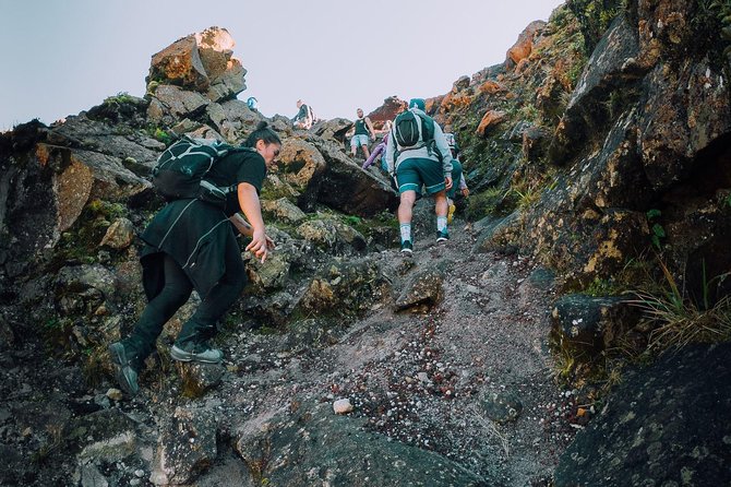 Rotorua Hiking: Mt Tarawera Guided Volcanic Crater Experience - Choosing Morning vs Afternoon: How Timing Affects What You See