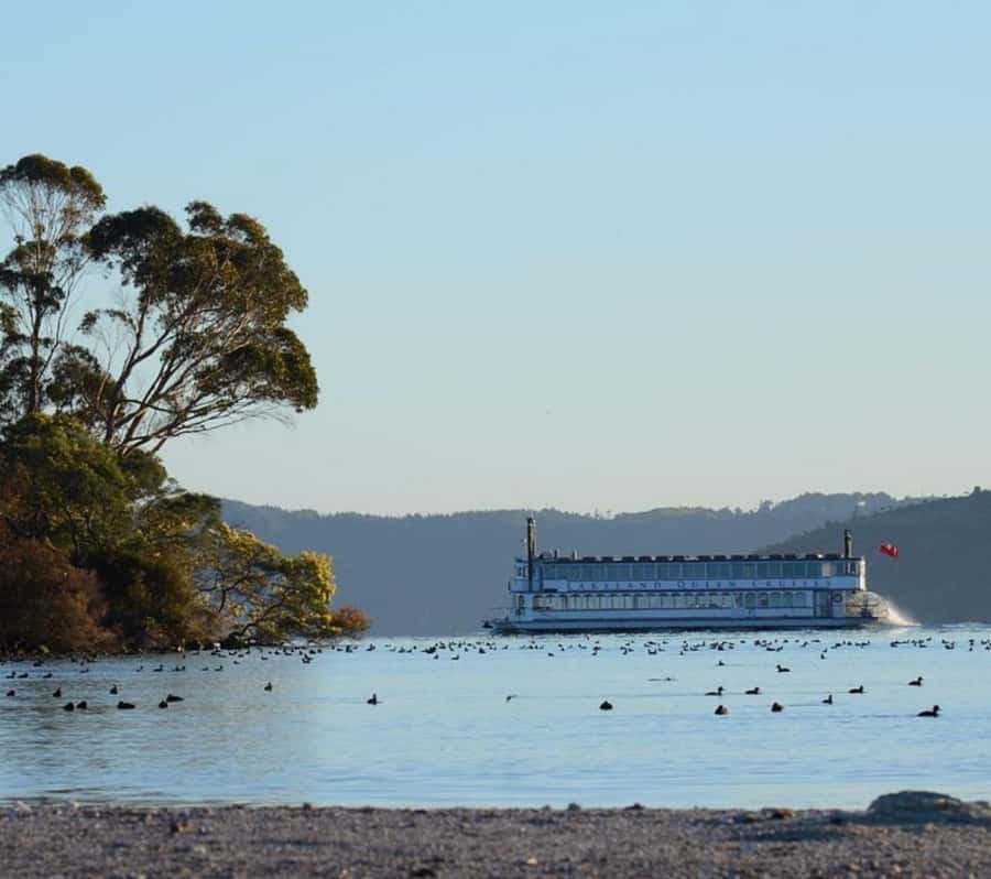 Rotorua: Lake Rotorua Cruise with Buffet Dining Option - What you see from the water, lake views plus geothermal edges