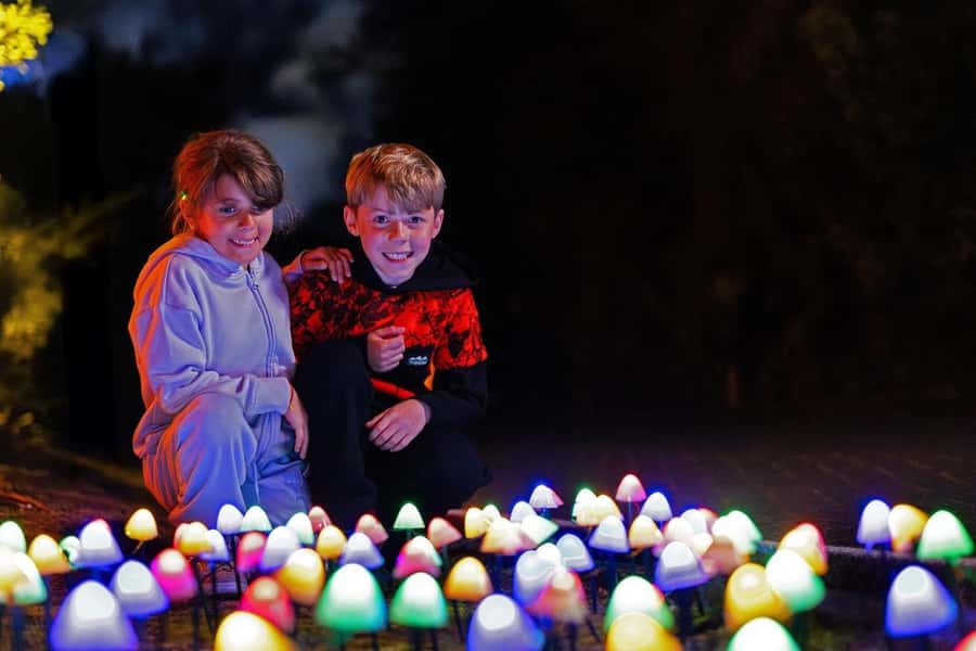 Rotorua: Marama Geyser Light Trail & Geothermal Experience - What to bring so you stay comfortable