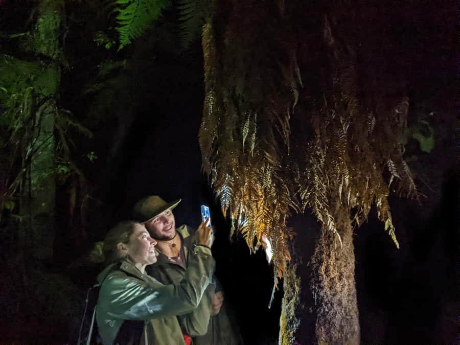 Rotorua: Nocturnal Glow-Worm Adventure Tour with a Guide - The 25-minute drive: stories, sights, and setting the scene