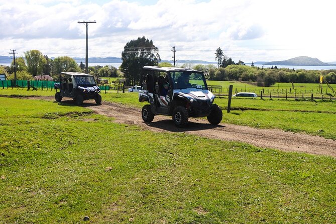 Rotorua Off-Road 4WD Buggy Adventure - Why Rotorua’s off-road buggy ride feels more hands-on than a bus tour