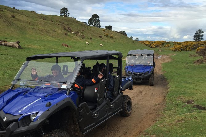 Rotorua Off-Road 4WD Buggy Adventure - Native bush trails, silver ferns, and the Lake Rotorua lookout