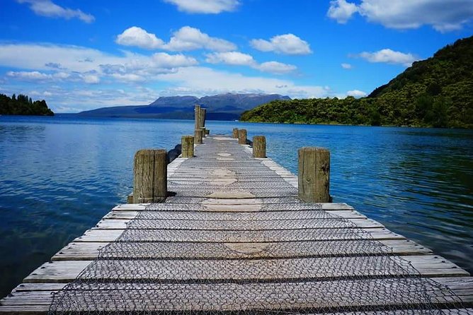 Rotorua Off-Road 4WD Buggy Adventure - Price and value: about $61.44 per person for a guided off-road experience