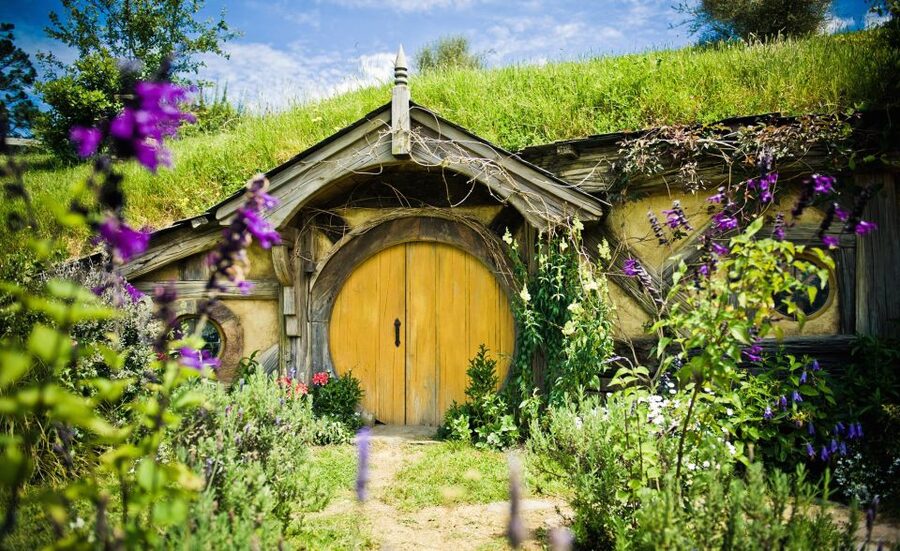 Rotorua: One-Way Trip to Auckland via Hobbiton & Waitomo - Who This Tour Fits Best (and Who Should Skip It)