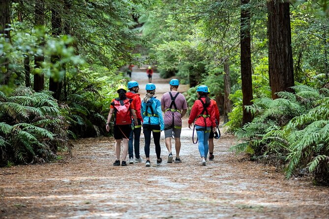 Rotorua: Redwoods Altitude High Ropes Adventure - Rotorua Redwoods Altitude Key Points You Should Know