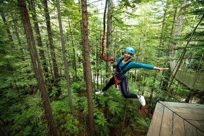 Rotorua: Redwoods Altitude High Ropes Adventure - The Treetop Loop: 25 Metres Up With Bridges and Ziplines