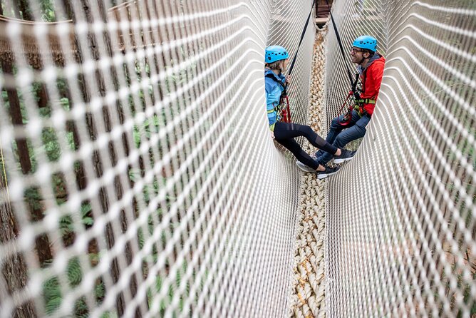 Rotorua: Redwoods Altitude High Ropes Adventure - On-Course Details: Moving Bridges, Ziplines, and the End Jump