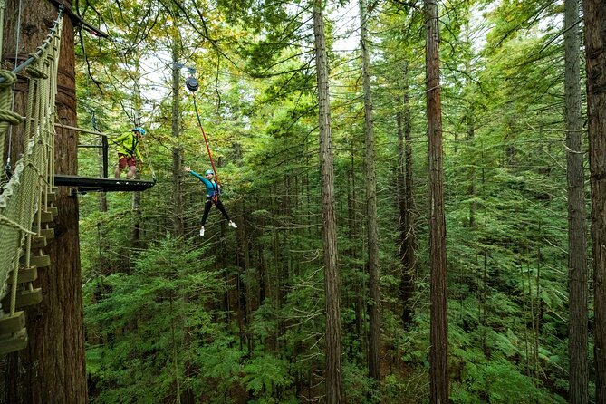 Rotorua: Redwoods Altitude High Ropes Adventure - Price and Value: Is $86 Worth It?