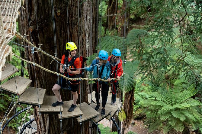 Rotorua: Redwoods Altitude High Ropes Adventure - Practical Tips That Make the Course Easier