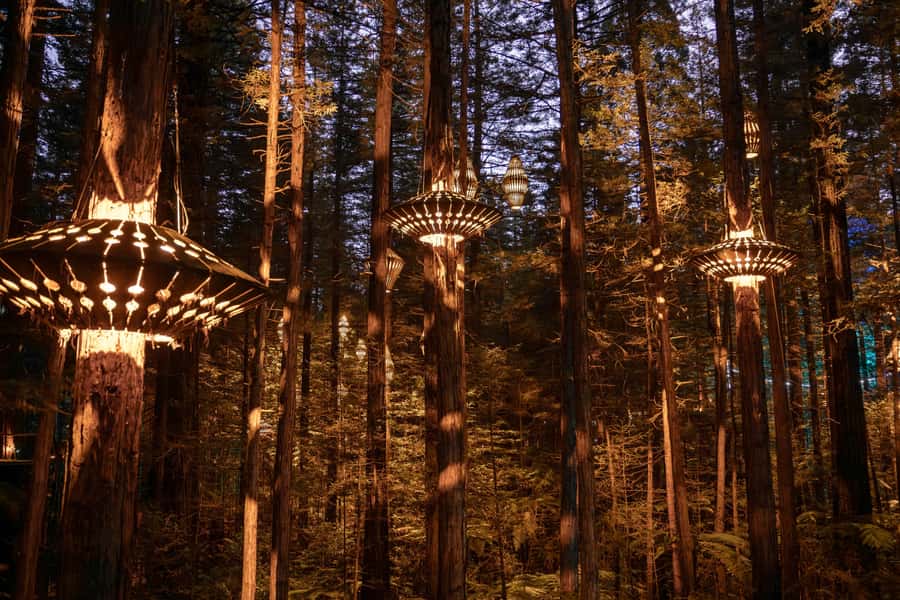 Rotorua: Redwoods Altitude, Nighttime Fast Pass, & Treewalk - The canopy course: Redwoods Altitude in plain English