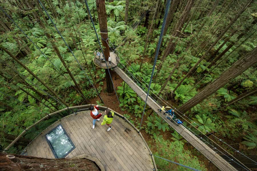 Rotorua: Redwoods Altitude, Nighttime Fast Pass, & Treewalk - How the guides help you feel safe at 25 meters