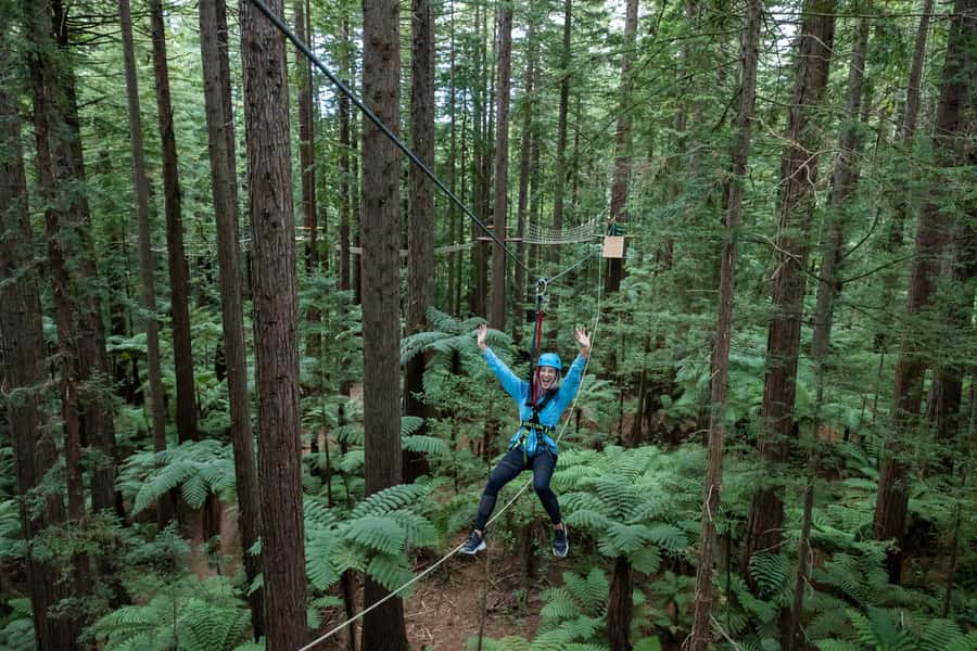 Rotorua: Redwoods Altitude, Nighttime Fast Pass, & Treewalk - Practical tips so your day goes smoothly