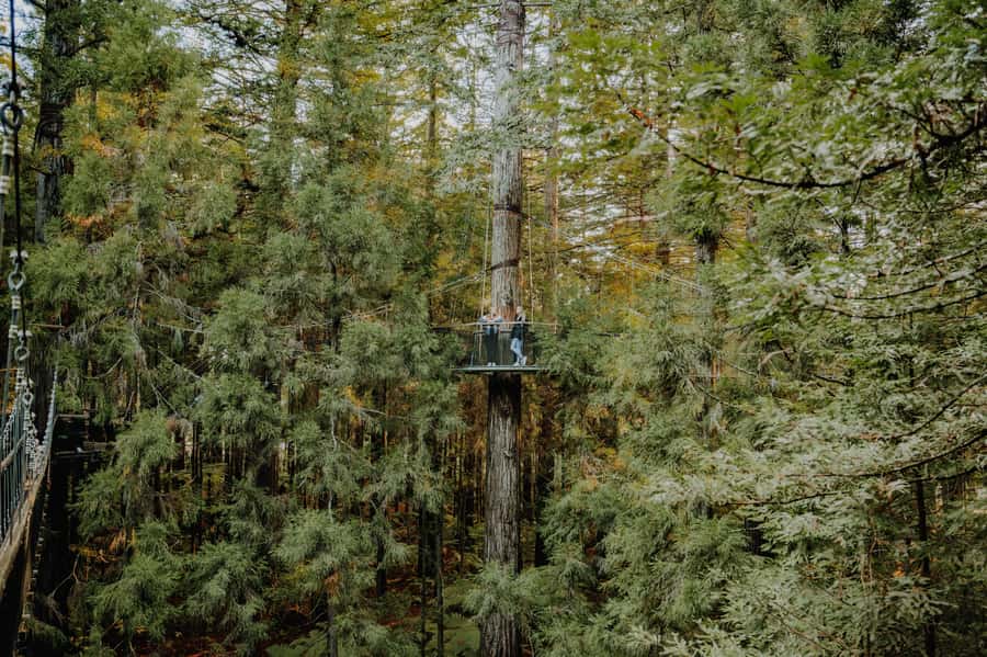 Rotorua: Redwoods Altitude, Nighttime Fast Pass, & Treewalk - FAQ