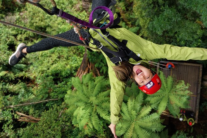 Rotorua’s Ultimate Zipline: 6 ziplines, 400 m Tandem, Cliff Walk - Key Points Before You Clip In